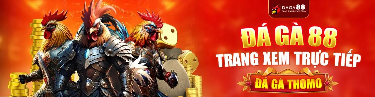Đá Gà Trực Tuyến Sôi Động tại Kuwinbet