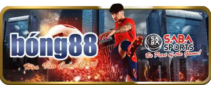 Cải tiến nền tảng KUWINBET